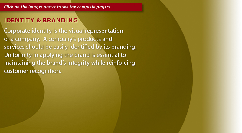 Identity & Branding Info